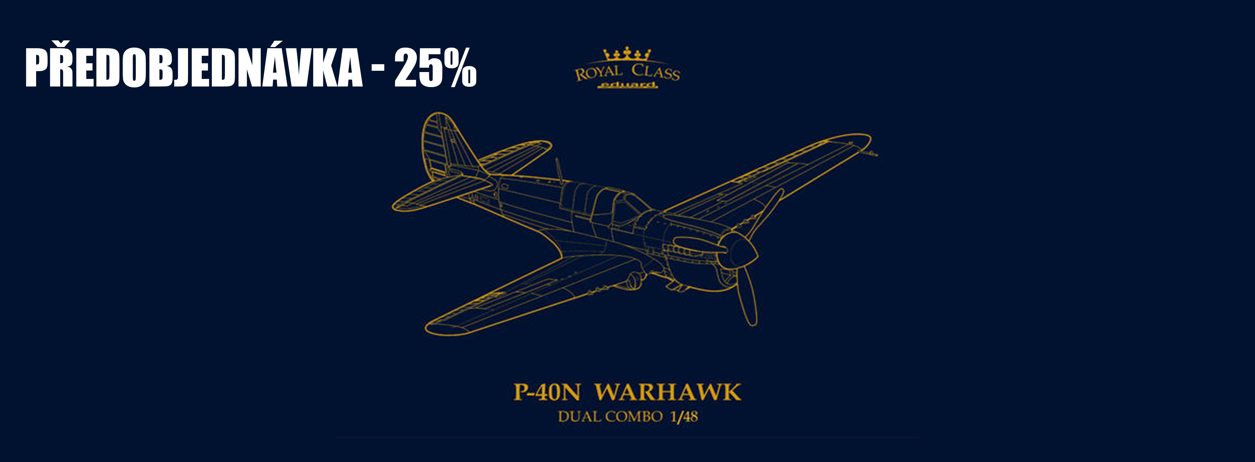 1:48 P-40N WARHAWK ROYAL CLASS DUAL COMBO